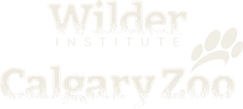 Wilder Institute / Calgary Zoo